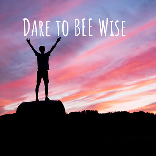 Dare To Be Wise