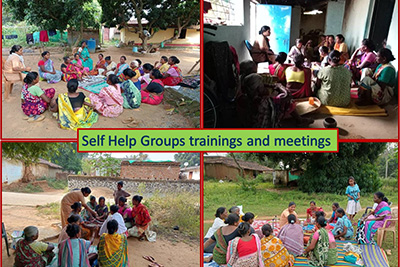 The Social Apostolate of the Society of St. Ursula